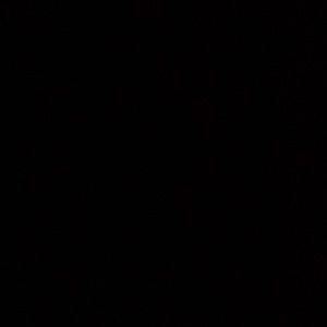 Meet your Posher, Jake